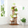 5 Tiers Vertical Bamboo Plant Stand Staged Flower Shelf Rack Outdoor Garden - Dark Wood