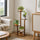 4 Tier Vertical Dark Wood Plant Stand Indoor Display Rack