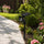 Solar LED Spotlight - Solar-powered motion-activated LED security light