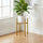 Gold Metal Plant Stand – Adjustable 20–30 cm Indoor Display