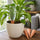 4PCS Terracotta Self Watering Spikes for Indoor & Outdoor Plants