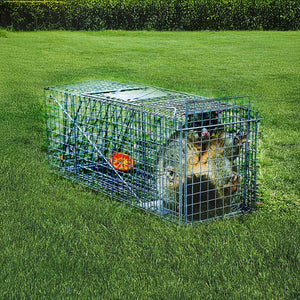 Trap Humane Possum Cage Live Animal Safe Catch Rabbit Cat Hare Fox Bird