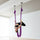 Gym Wall Anchor Mounts for Battle Ropes & Suspension Training