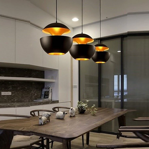 25cm Modern Home Office Restaurant Pendant Lamp LED Chandelier Ceiling Hanging Light in Black