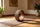 Cork Yoga Wheel 33cm Backbend Stretching Yoga Prop