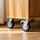 150mm Heavy Duty Plate Caster Wheels Set of 4 1200kg Swivel