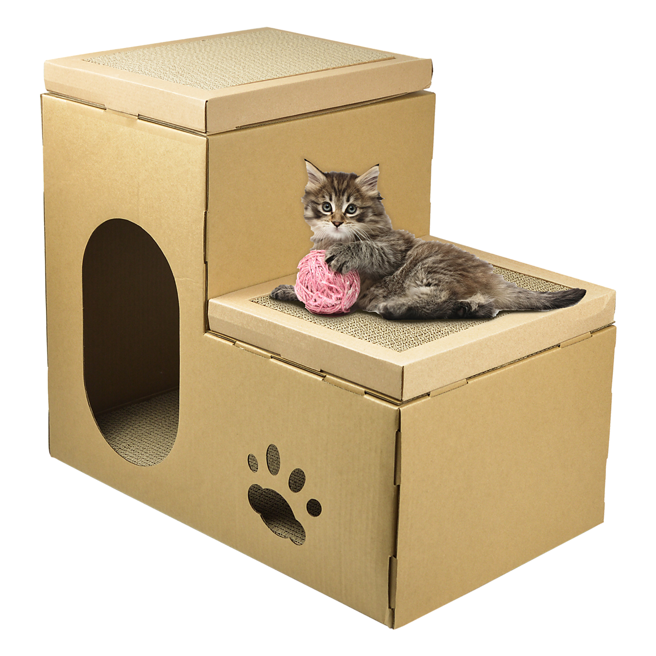 Cardboard hotsell cat condo